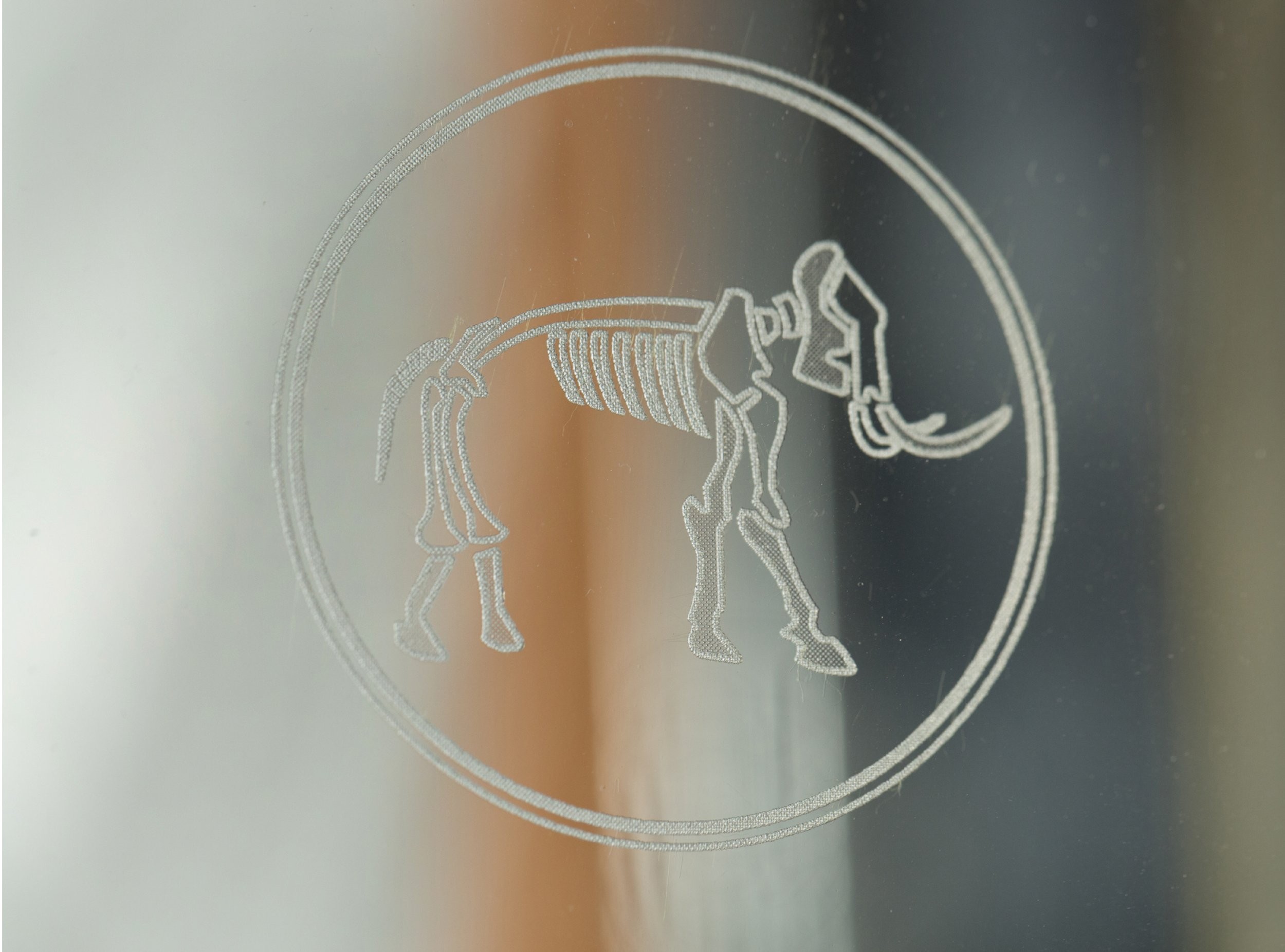 Woman in a suit, holding a flower, bathed in warm light